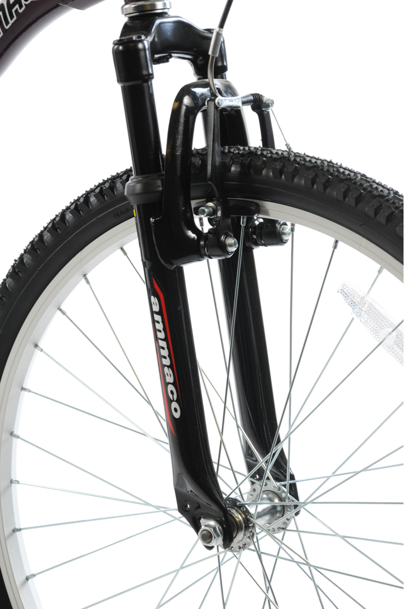 Professional Hector Mountain Bike Black-4
